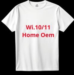 Tshirt logo: Wi.10/11Home Oem