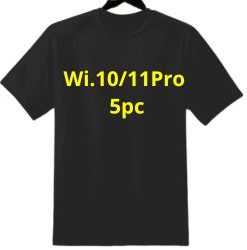 Tshirt logo:  Wi.11Pro 5pc