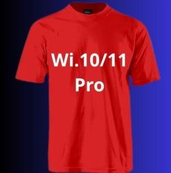 Tshirt logo: Wi.10/11Pro