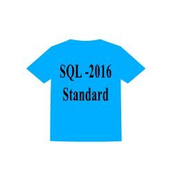 football Uniform with logo: SQL 216-Standard