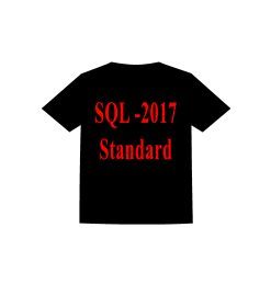 football Uniform with logo: SQL 217-Standard